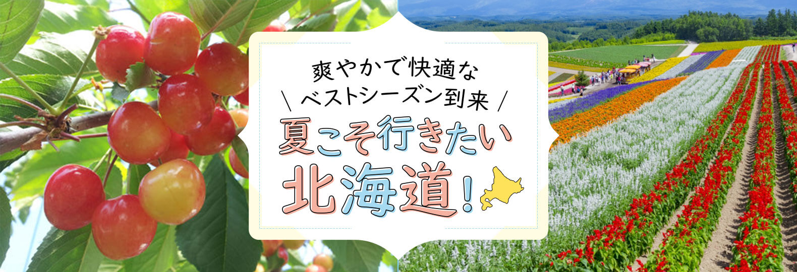 爽やかで快適なベストシーズン到来 夏こそ行きたい北海道！